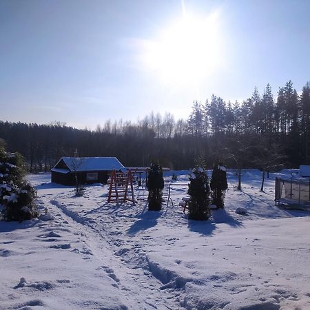 Brivdienu Maja Skerskani Krāslava Kültér fotó